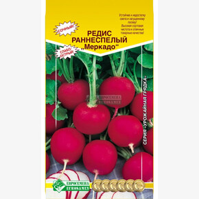 Редис МЕРКАДО (1 гр)/ Евросемена