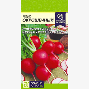 Редис Окрошечный/ Семена Алтая