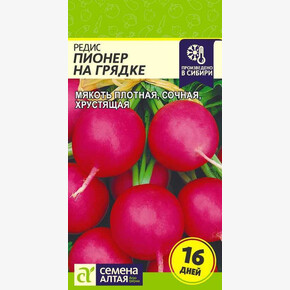 Редис Пионер на Грядке (16 дней)/ Семена Алтая 1 гр.