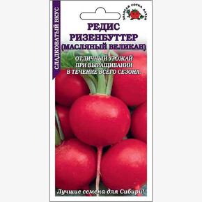 Редис Ризенбуттер/ Сотка