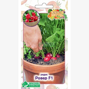 Редис РОВЕР (0,5 гр)/ Евросемена