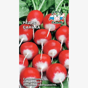 Редис Санька /Седек