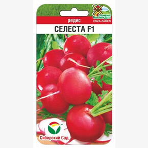 Редис Селеста 100шт/ Сибсад