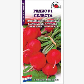Редис Селеста/ Сотка