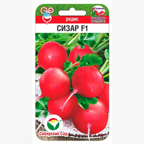Редис Сизар 60шт/ Сибсад