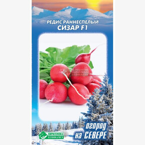 Редис Сизар F1/ Евросемена