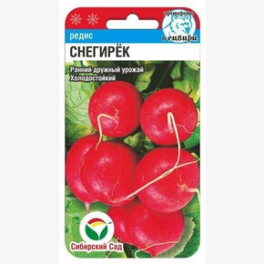 Редис Снегирек/ Сибсад