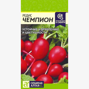 Редис Чемпион /Семена Алтая