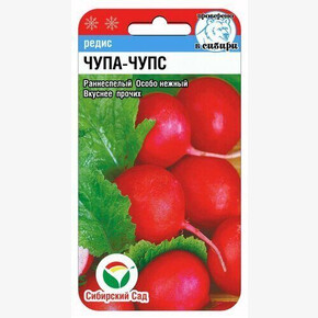 Редис Чупа-Чупс/ Сибсад 2гр