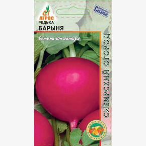 Редька Барыня 2г*, Италия, / Агрос