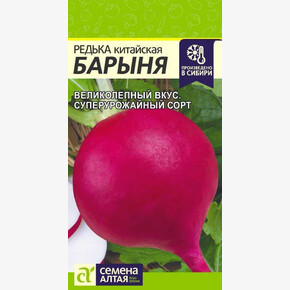 Редька Барыня Зимняя Красная/Сем Алт/цп 1 гр.