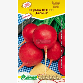 Редька Барыня летняя/ Евросемена