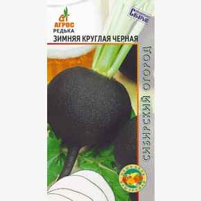 редька Зимняя круглая черная