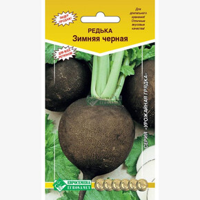 Редька Зимняя круглая черная/ Евросемена