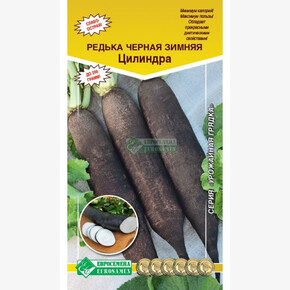 Редька Цилиндра/ Евросемена