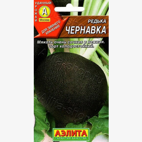 Редька Чернавка/ Аэлита