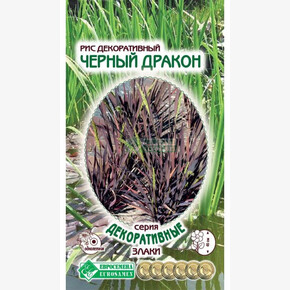 Рис декоративный ЧЕРНЫЙ ДРАКОН (10 шт)/ Евросемена