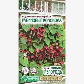 Родохитон РУБИНОВЫЕ КОЛОКОЛА(6шт) 1188/ Евросемена