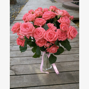 Роза Барбадос СПР