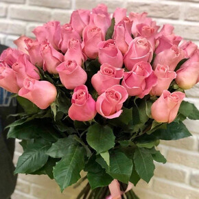 Роза Хермоза ЧГ