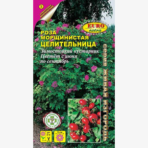 Роза Целительница шиповник 0,25г/ Аэлита Экстра