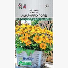 Рудбекия АМАРИЛЛО ГОЛД мохнатая 3 шт/ Евросемена