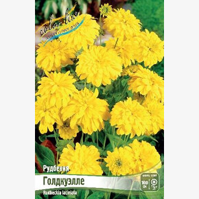РУДБЕКИЯ ГОЛДКУЭЛЛЕ