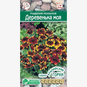 Рудбекия Деревенька моя/ Евросемена