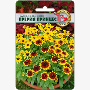 Рудбекия Прерия Принцес карликовая /Биотехника/