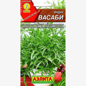 Рукола Васаби/ Аэлита