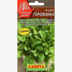 Рукола Горожанка 0,3г/ Аэлита