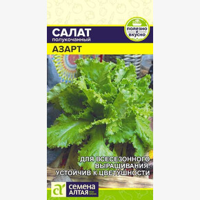 Салат Азарт/ Семена Алтая 0,5 гр.