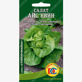 Салат Айс Квин/ Деметра