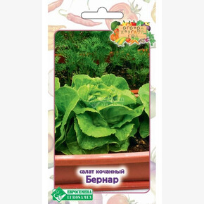 Салат БЕРНАР 0,5 гр/ Евросемена