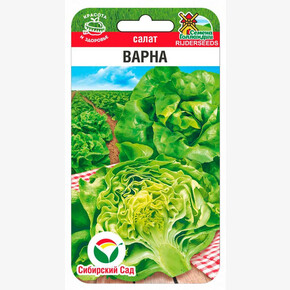 Салат Варна 20шт/ Сибсад