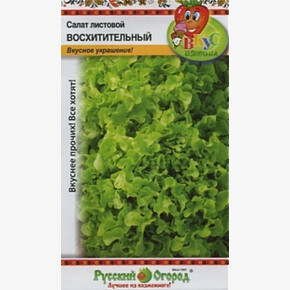 салат Восхитительный /НК