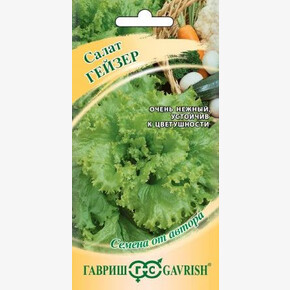 Салат Гейзер/ Гавриш