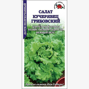Салат Грибовский кучерявец /Сотка/