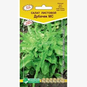 Салат Дубачек МС/ Евросемена