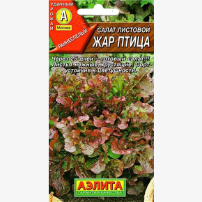 Салат Жар птица/ Аэлита