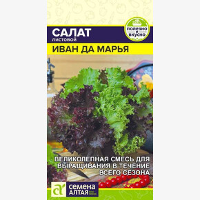 Салат Иван да Марья/ Семена Алтая 0,5гр
