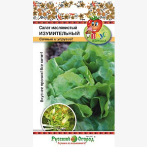 салат Изумительный кочанный (Вкуснятина) НК