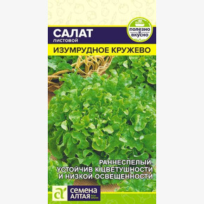 Салат Изумрудное Кружево/ Семена Алтая
