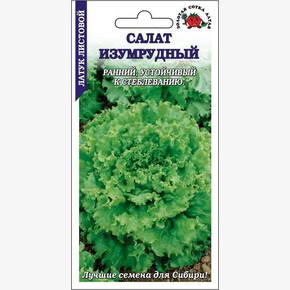 Салат Изумрудный /Сотка/ 0,5 г лист./ *1500