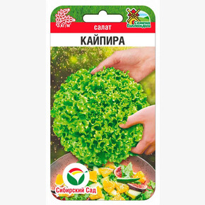 Салат Кайпира 10шт/ Сибсад