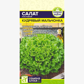 Салат Кудрявый Мальчонка/ Семена Алтая 0,5 гр.