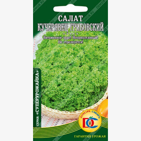 Салат Кучерявец Грибовкий / Сотка