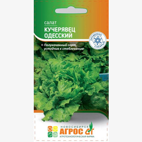 Салат Кучерявец одесский 0.3г*, Россия, сред/ Агрос
