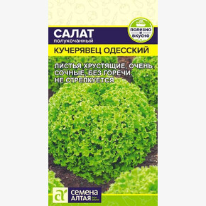 Салат Кучерявец Одесский/ Семена Алтая 0,5 гр.