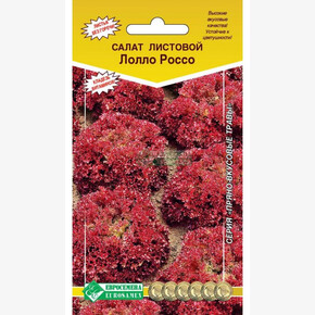 Салат ЛОЛЛА РОССА (1 гр) 2063/ Евросемена